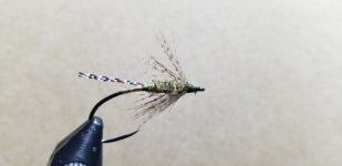 20220214_165728.jpg