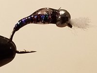 20220215_221131.jpg