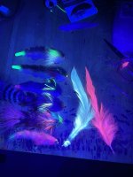 2F2B5223-2ED8-4E4F-A7AF-7517B1AD129B.jpeg