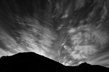 003 landscapes.jpg