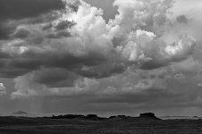 004 landscapes.jpg