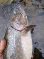 IMG_20200918_103453464.jpg