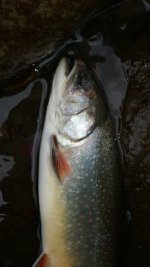 20170422_133020.jpg