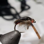 20220217_084614.jpg