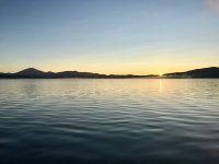 IMG_7868.jpg