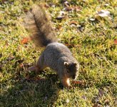 DSC00619 (2).JPG