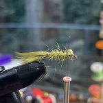 5F3765BB-66E8-4B41-883B-9F0B2E484572.jpeg