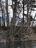 188A098B-4B40-4FA2-AECB-3370C54BB513.jpeg