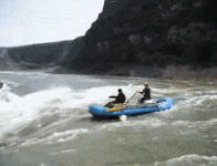 KeenMedicalCockatoo-max-1mb.gif