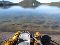 East Lake Spawing Kokanee 10-21-15.JPG East Lake Spawing Kokanee 10-21-15.JPG