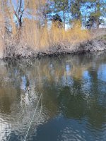 6AC39866-3FA2-44B4-8465-BC32065D9439.jpeg