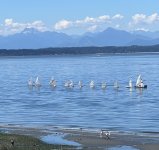 IMG_4312.jpeg