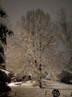 IMG_2030.jpeg