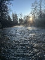 IMG_3355.jpeg