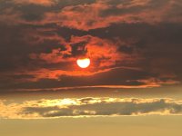 IMG_6959.jpeg
