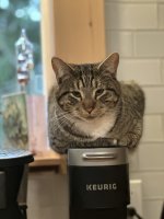 IMG_3392.jpeg