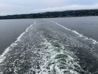 IMG_4316.jpeg