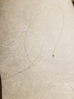 20230805_070320.jpg
