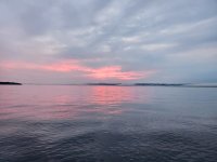 20230805_054631.jpg