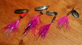 Coho-fly-spinners.png