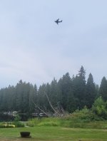 seafair.jpg
