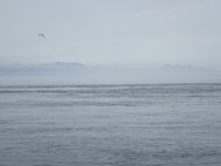 IMG_4321.jpeg