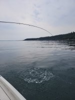 20230805_145535.jpg