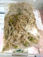 IMG_2752.jpeg