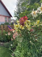 IMG_0683.jpeg