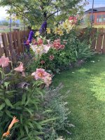 IMG_0681.jpeg