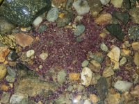 A01GarnettSands7180554.jpg A01GarnettSands7180554.jpg