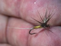 A06BiolBodiedParachutePMD7180613.jpg A06BiolBodiedParachutePMD7180613.jpg