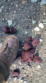 20161002_135544.jpg