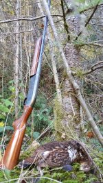 20171030_122619.jpg