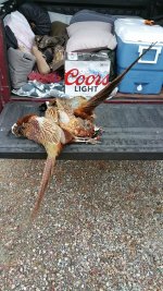20161020_172929.jpg