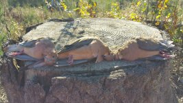20171030_134646.jpg