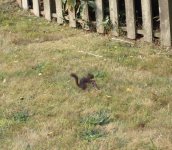 IMG_4342.jpeg