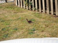 IMG_4343.jpeg