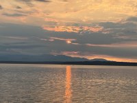 IMG_4351.jpeg