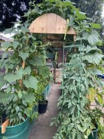 IMG_3721.jpeg