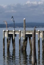 IMG_6124.jpeg