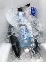 B6B5995C-66BA-43C7-80C2-35A579303C05.jpeg