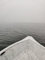 IMG_20230807_090318.jpg
