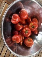 IMG_7199.jpeg