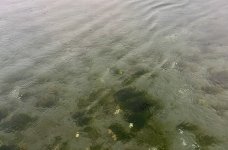 IMG_2975.jpeg IMG_2975.jpeg