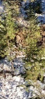 13331F08-2249-4AD4-8E80-DA1312719177.jpeg