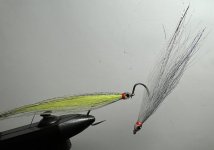 IMG_4391.jpeg