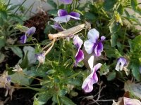 20230810_064639.jpg 20230810_064639.jpg