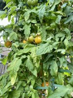 IMG_3773.jpeg