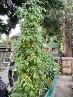 IMG_3767.jpeg